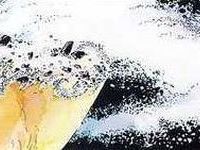 Planche